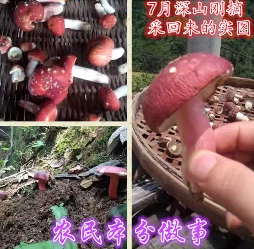 微信截图_20250923071858.png